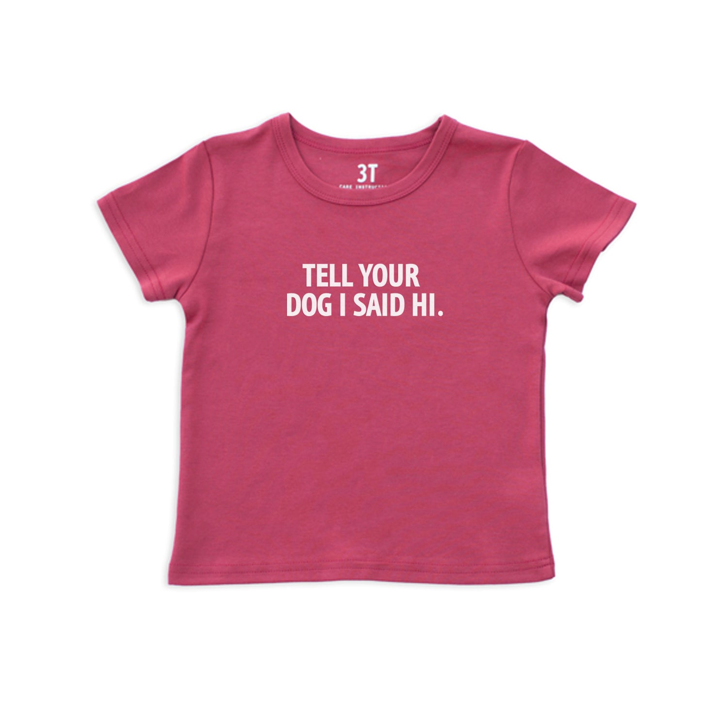 Tell Your Dog I Said Hi. Kids Tee