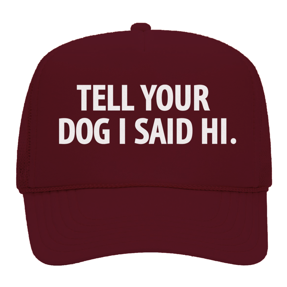 Tell Your Dog I Said Hi Foam Snapback