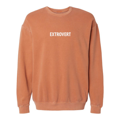 Extrovert Washed Sweatshirt