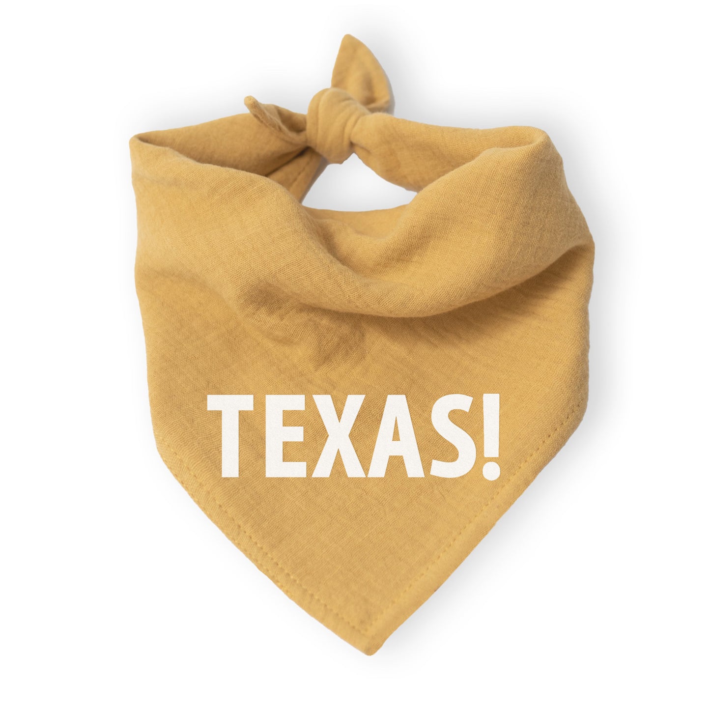 Texas! Bandana